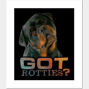 Rottweiler  - Metzgerhund Posters and Art